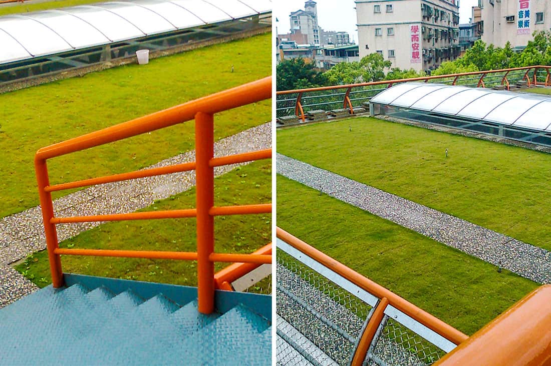 新興國小薄層綠屋頂，隔熱有奇效
