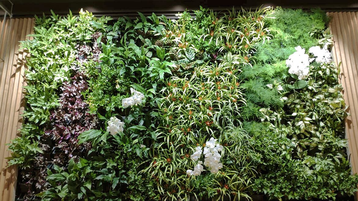 101大樓地下美食街植生牆