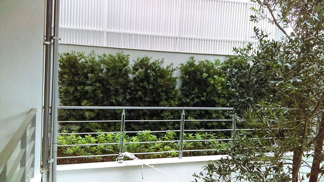 我家有棵樹，透天天井裡的綠化庭園