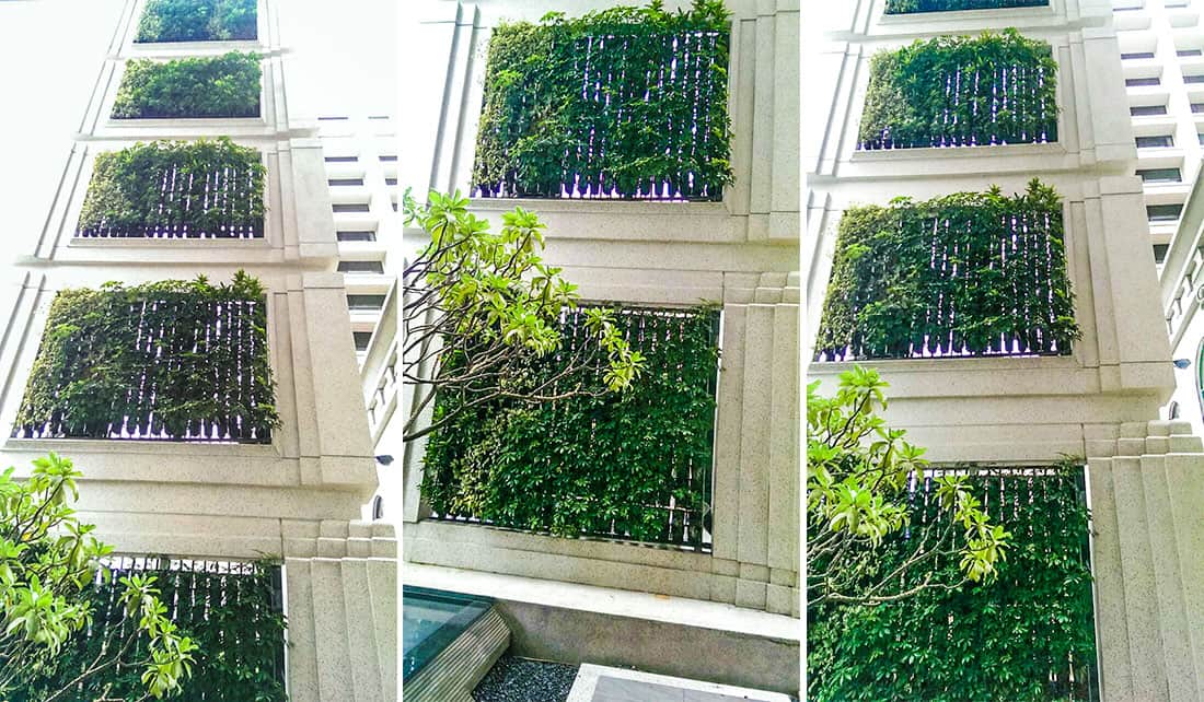 長群金璽御品溫泉鐘塔植生牆