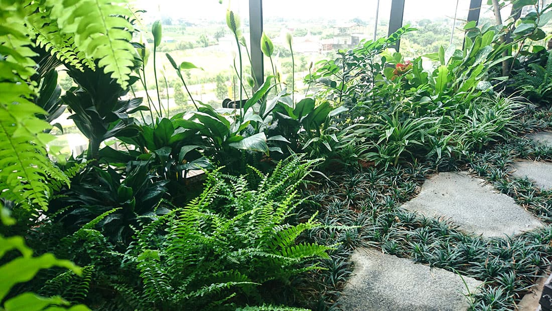 深耕10陽台綠化,小型綠花園就在身邊,打造陽台天然清境機,隔絕戶外的髒空氣與灰塵。
